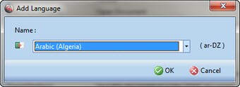 Translation Manager_AddLang