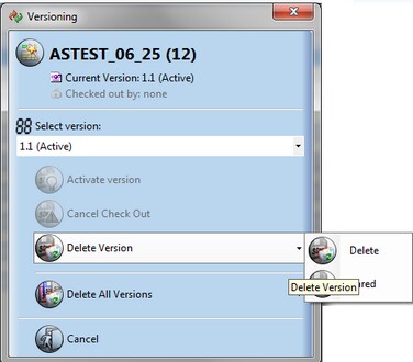 Versioning_manageVersions